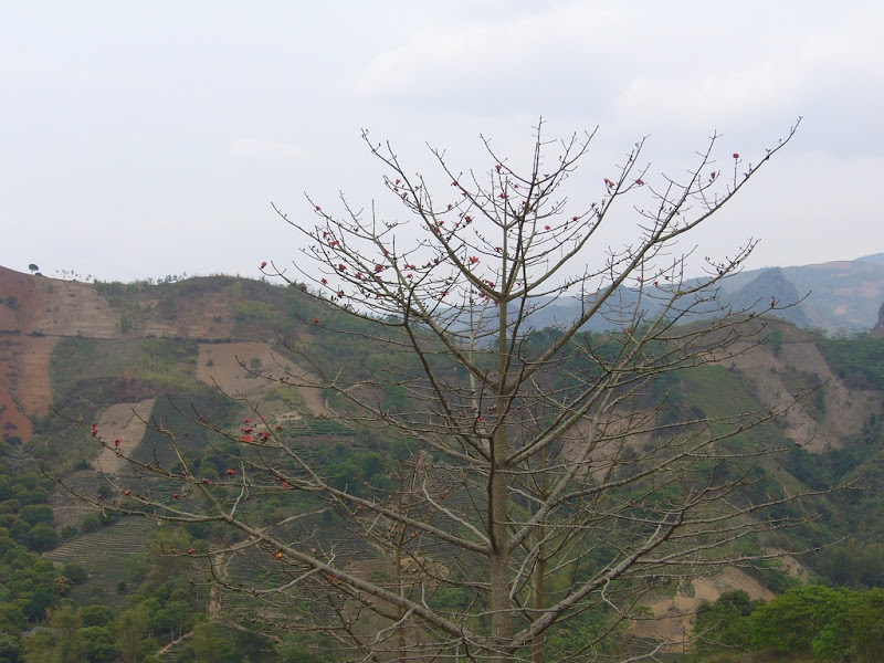 P1070817.JPG