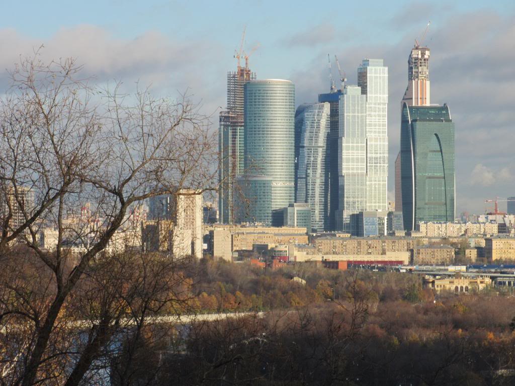 IMG_6596_zps4765e604.jpg