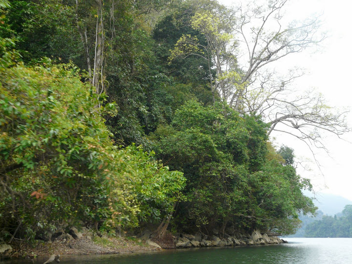 P1050545.JPG