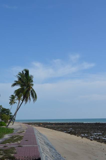 DSC_2290.jpg
