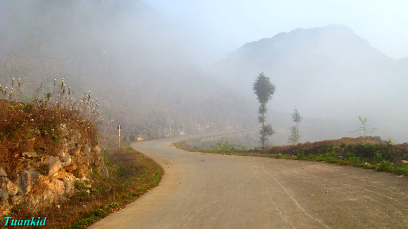 SDC16329.jpg