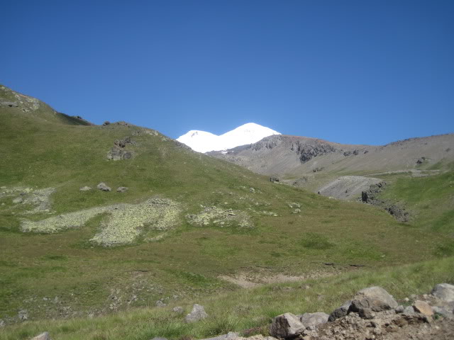 IMG_1321.jpg