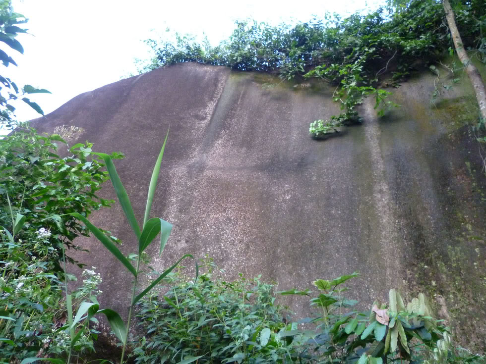 P1050872.jpg