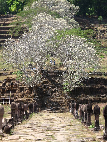 450px-Vat_Phu.jpg