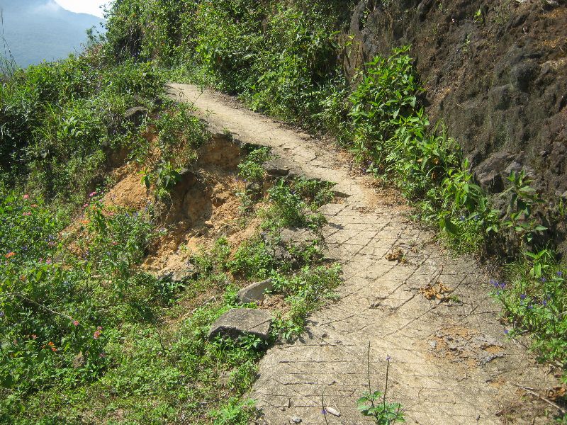 IMG_0746.jpg