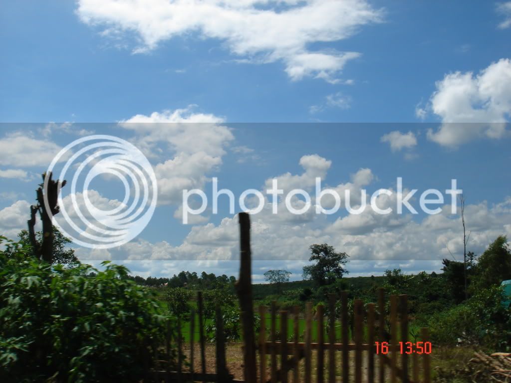 DSC01077.jpg