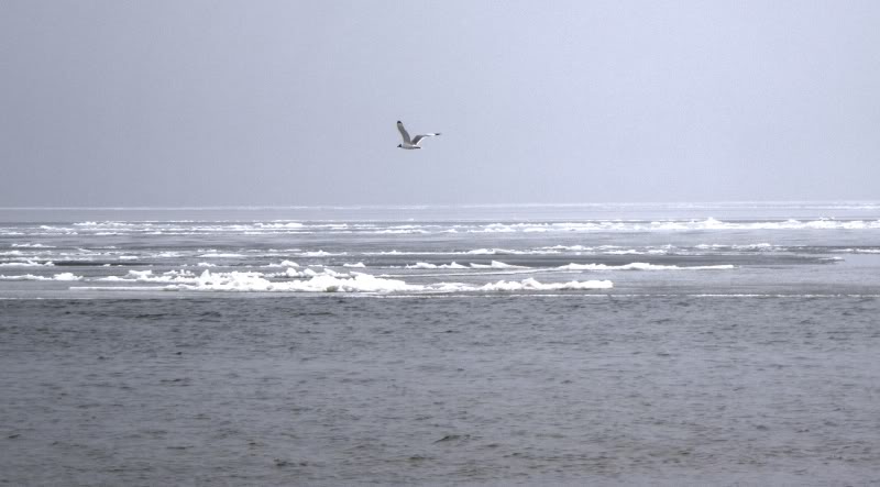 P4140055-2.jpg