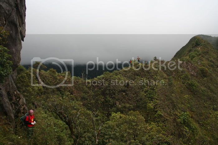 IMG_4963_zpsf71f4ef0.jpg