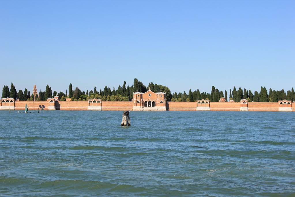 IMG_1581_zps62576fe8.jpg