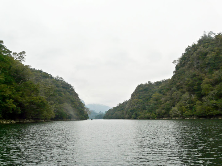 P1050539.JPG