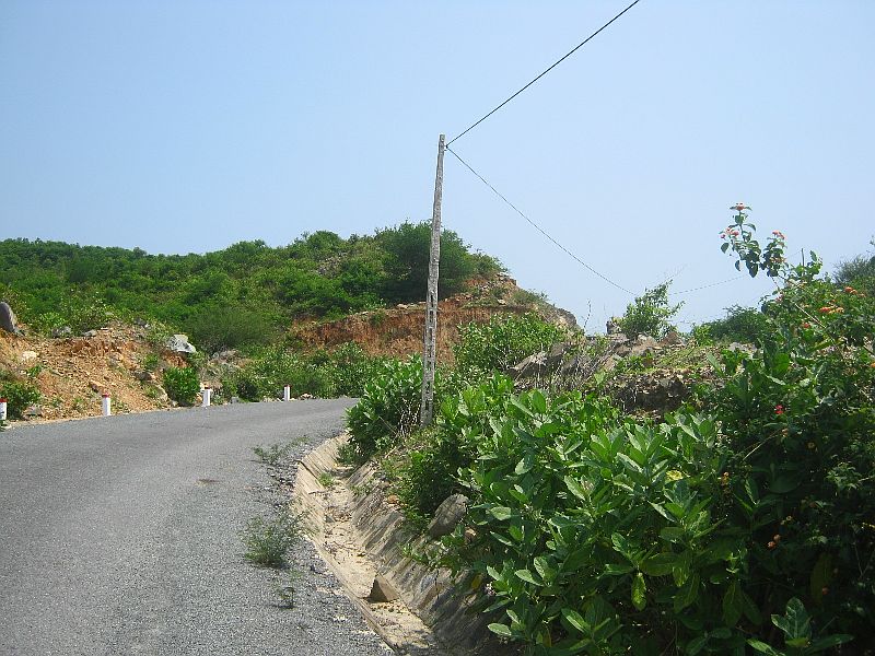 IMG_7980.jpg