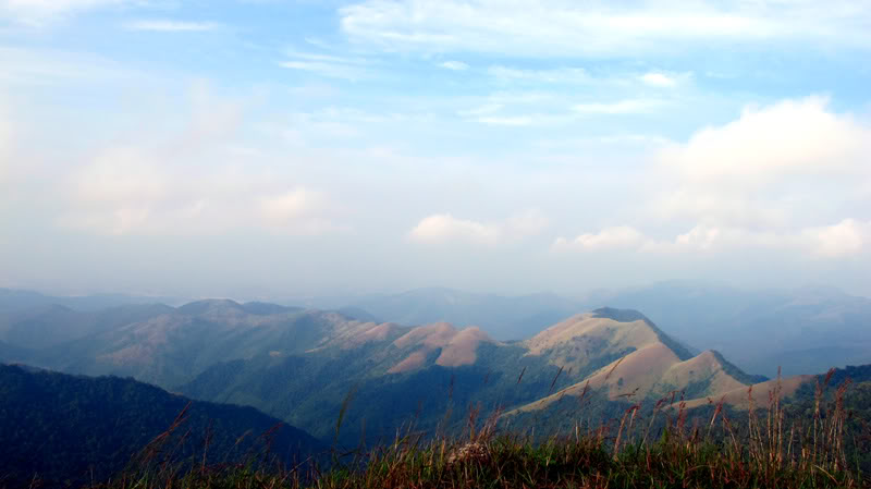 TayYenTu1010858.jpg