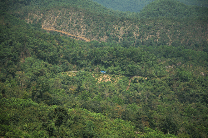 DSC_8943.gif