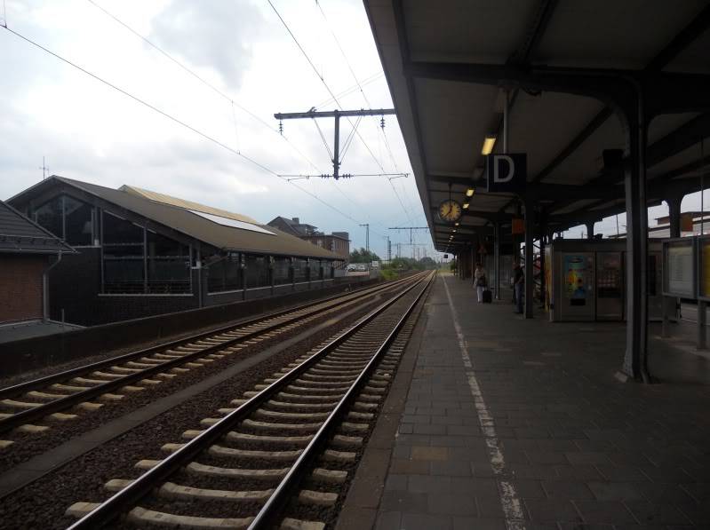 DSCN8475.jpg