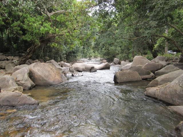 tnhlinh103.jpg