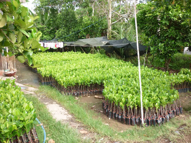 P1340017.jpg