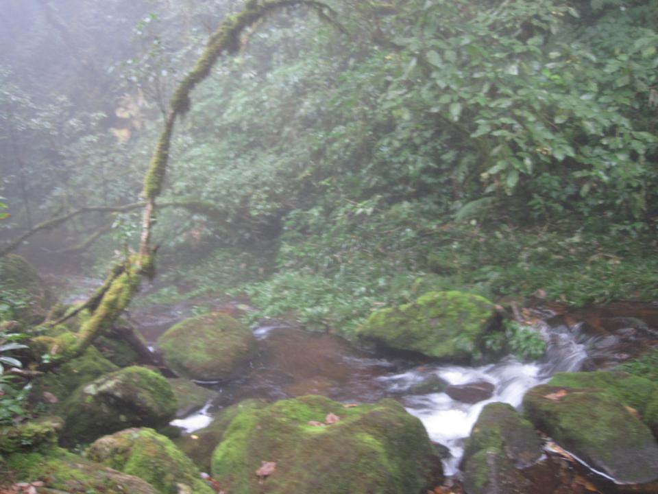 IMG_0912_960x720.jpg