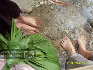 SDC12032.jpg