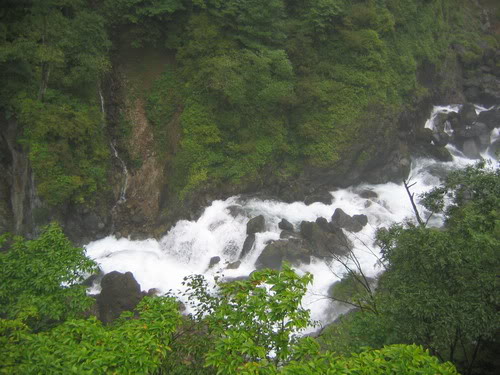 IMG_1645_resize.jpg