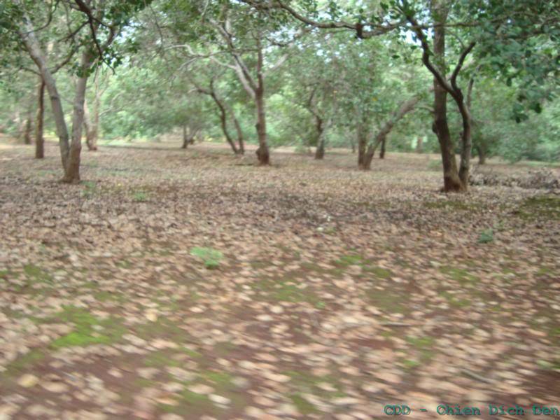 DSC01266.jpg
