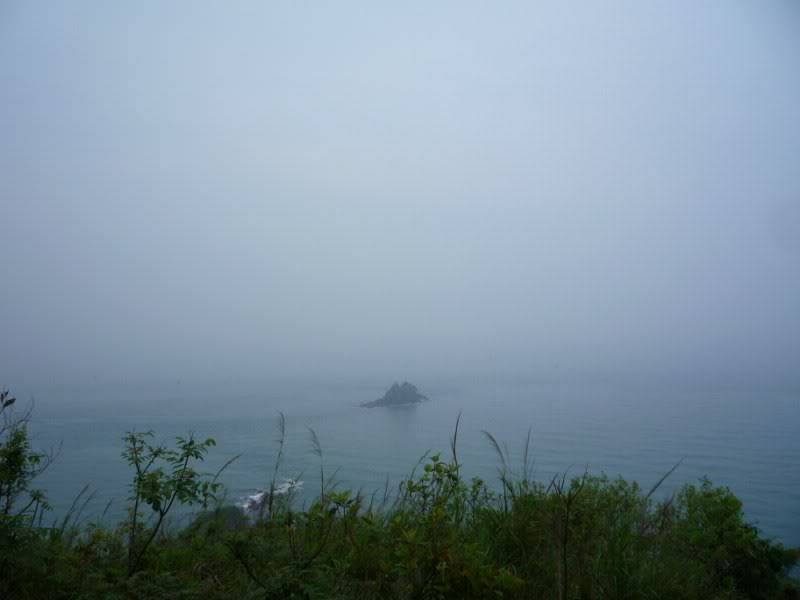P1040683800x600.jpg