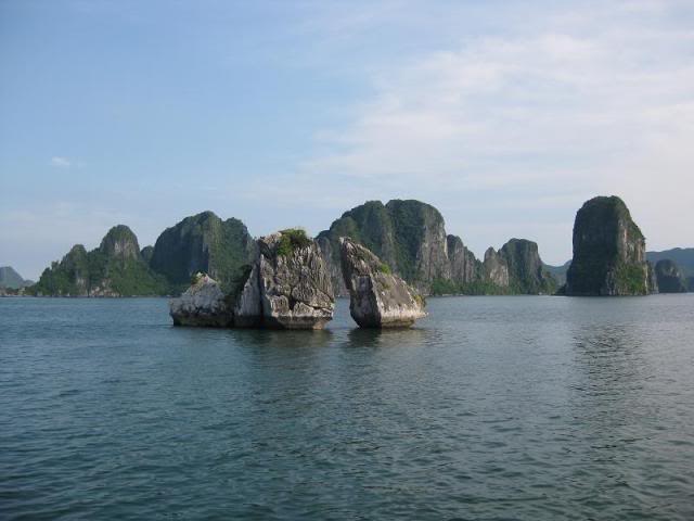 IMG_6990.jpg