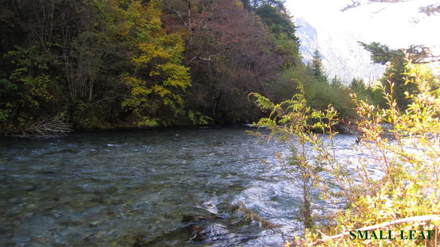 IMG_1912_1.jpg