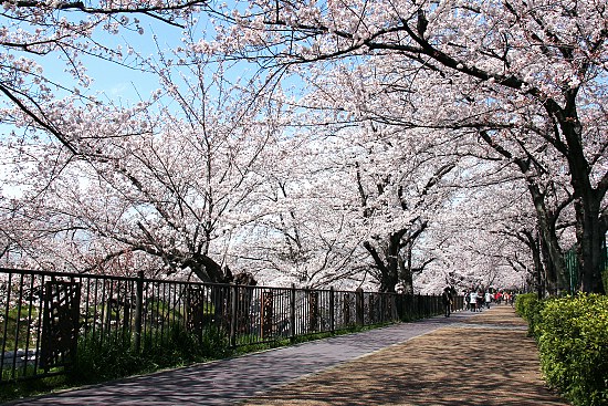 120406_nagoya_00.jpg