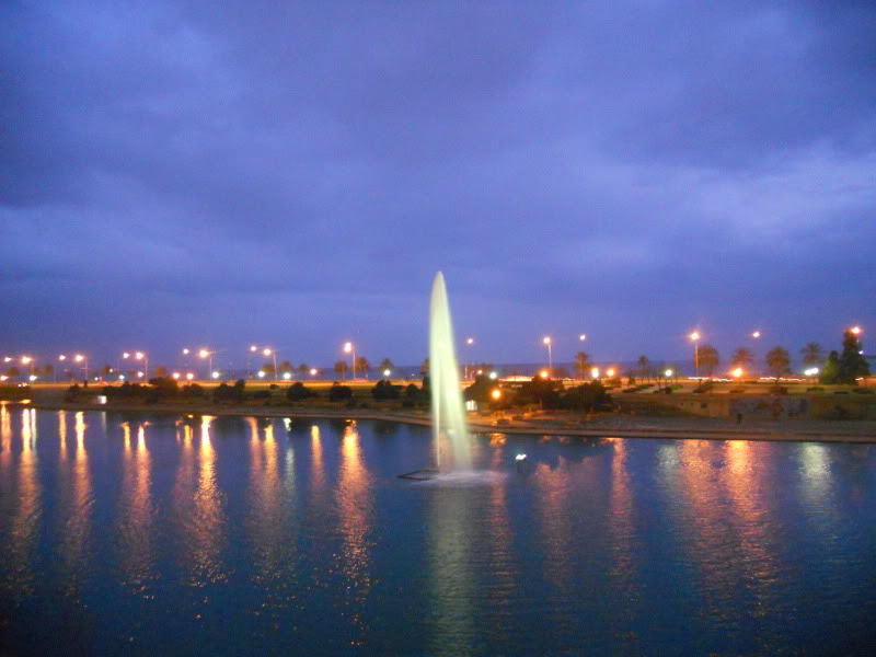 DSCN6516.jpg
