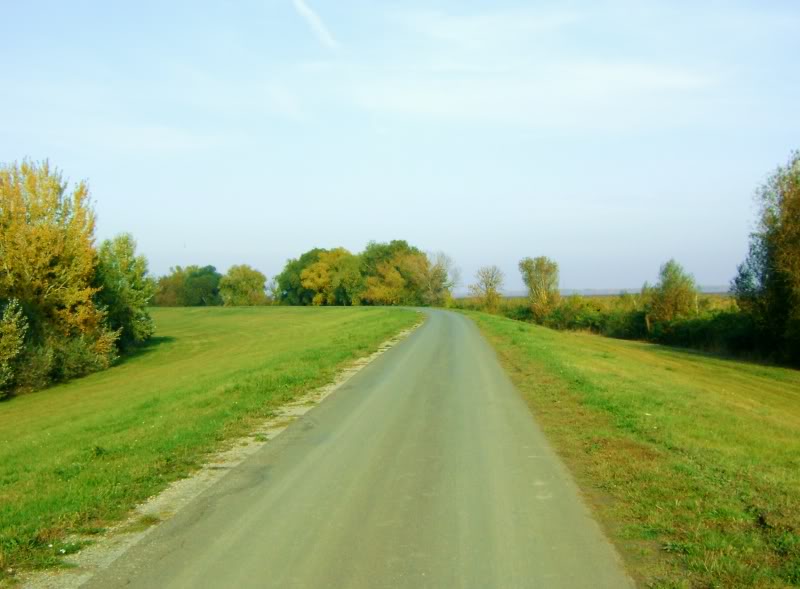 DSC06609.jpg