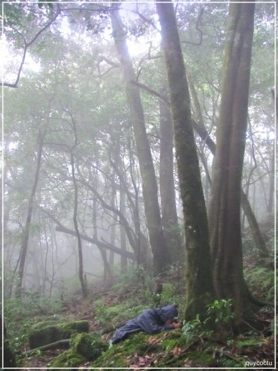 chehoanglienson48.jpg
