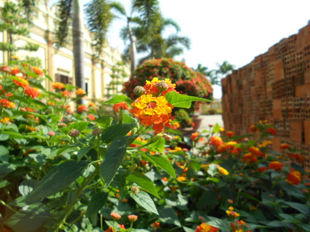 DSCN8680.jpg