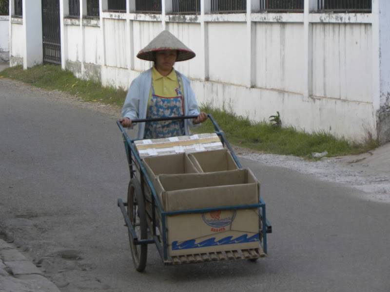 DSCN4134.jpg