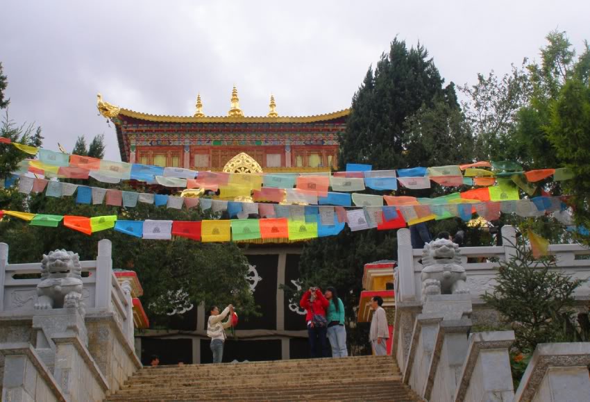 PA030187-1.jpg