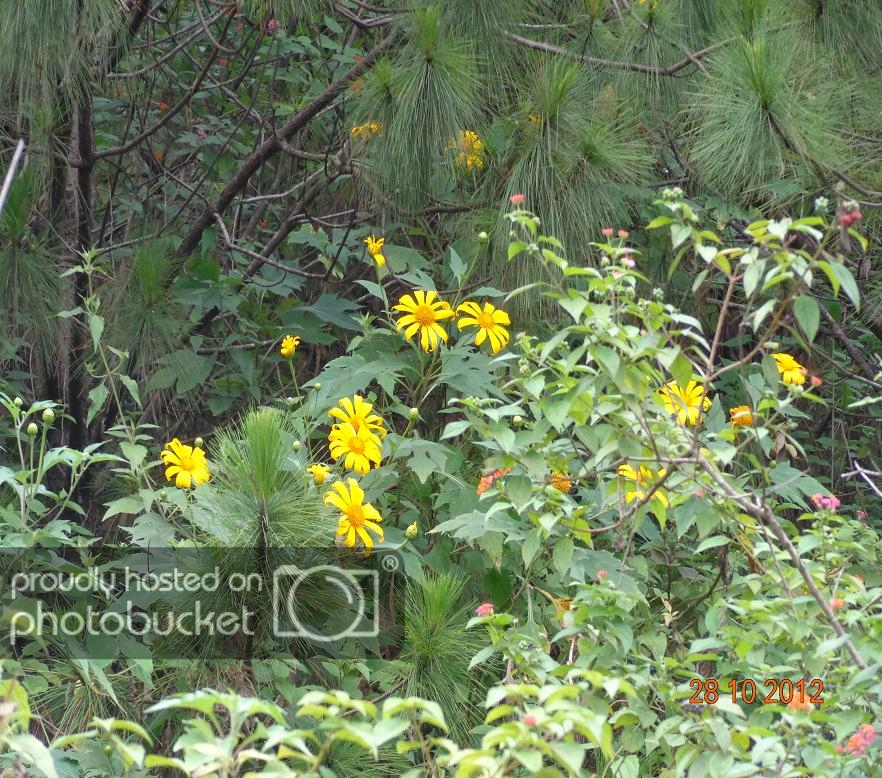 DSC00750R.jpg