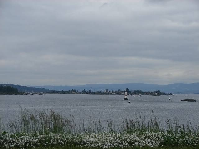 DSC00061.jpg