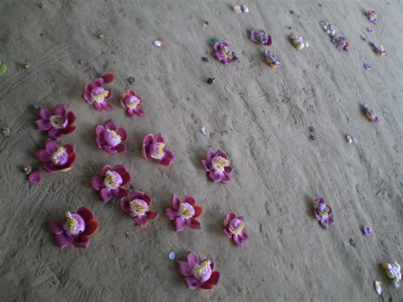 P1010587Medium.jpg