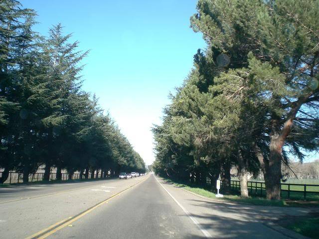 CIMG7244.jpg