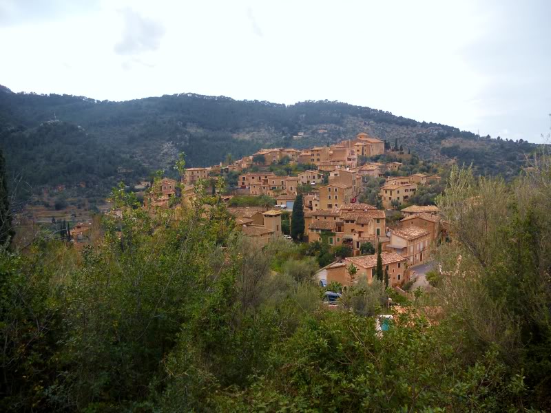 DSCN6254.jpg
