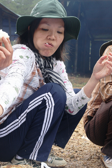 6516407399_d81db0a36e_z.jpg