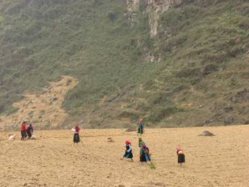 IMG_0636copy.jpg