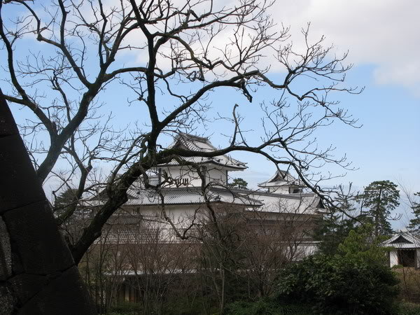 IMG_1737_resize.jpg