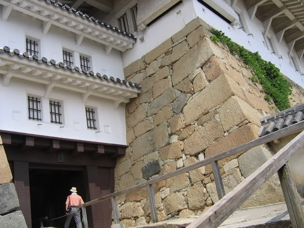 IMG_0568_resize.jpg