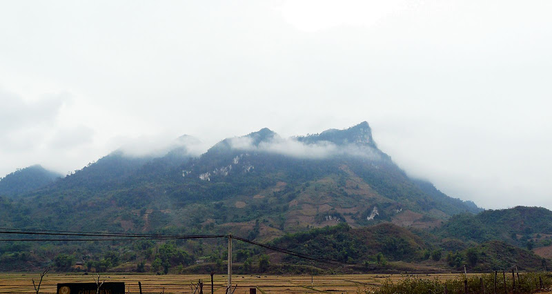 P1050653.JPG