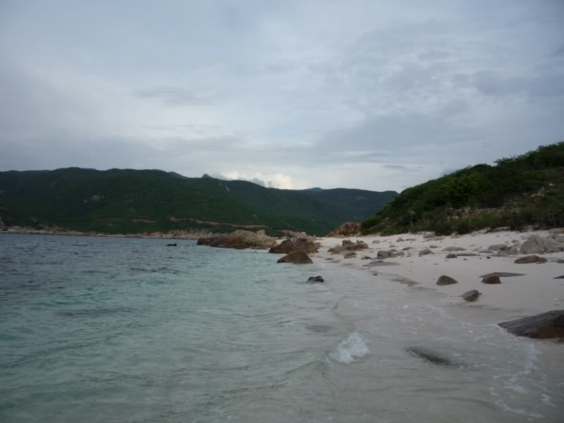 P1010660800x600.jpg