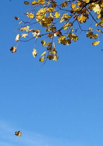 DSC00713-1.jpg