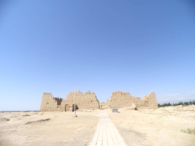 P9011742.jpg