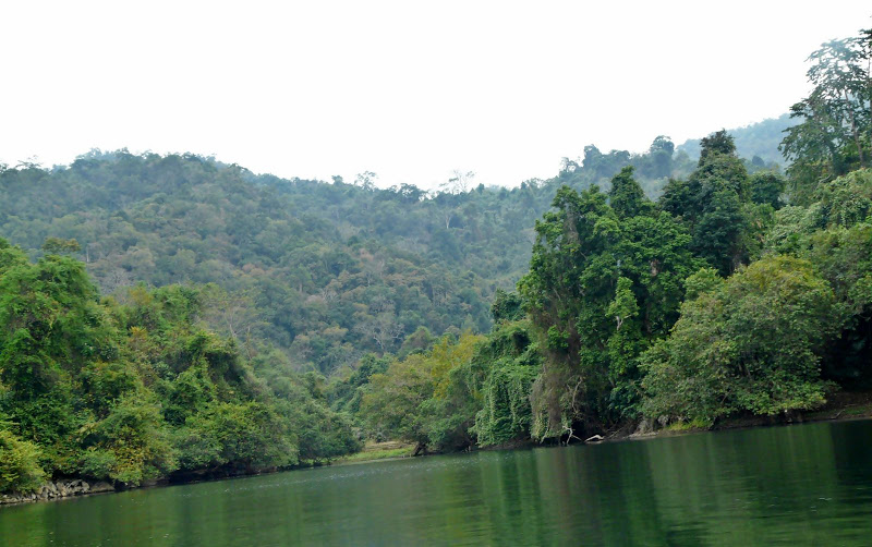 P1050579.JPG