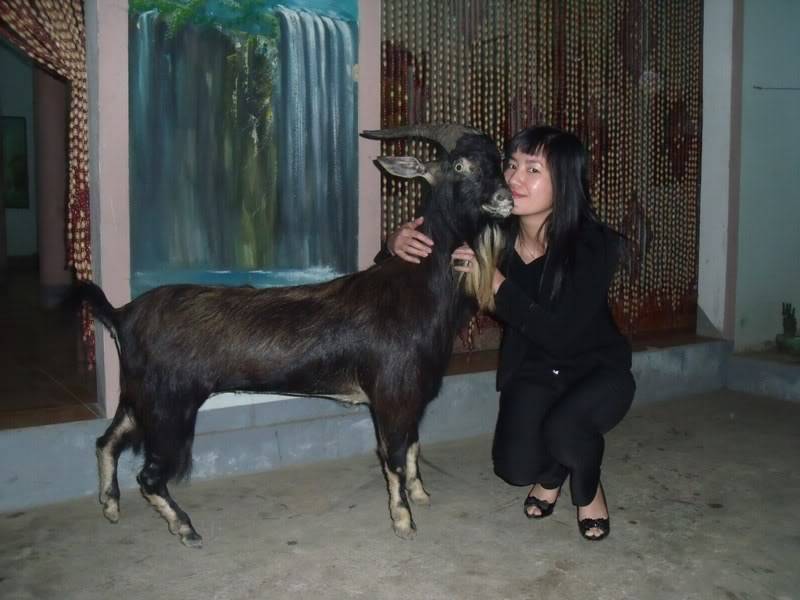 DSCF4206.jpg
