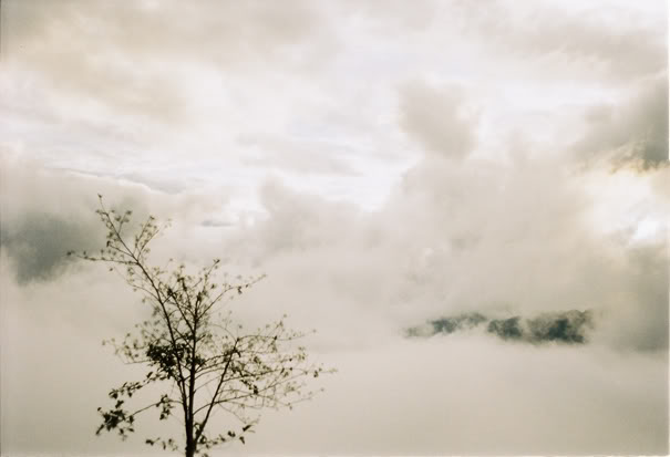 10926-10.jpg